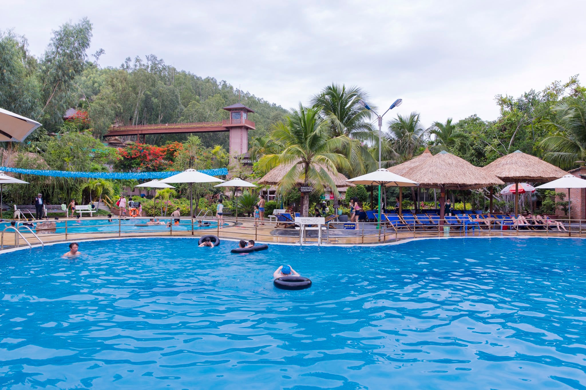 avt 1e9c8f172f9048f5b6267244b4c02448